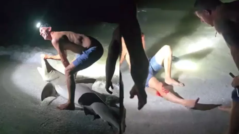 VIDEO | Tiburón ataca a pescador que quería tomarse una foto con él en Florida, Estados Unidos