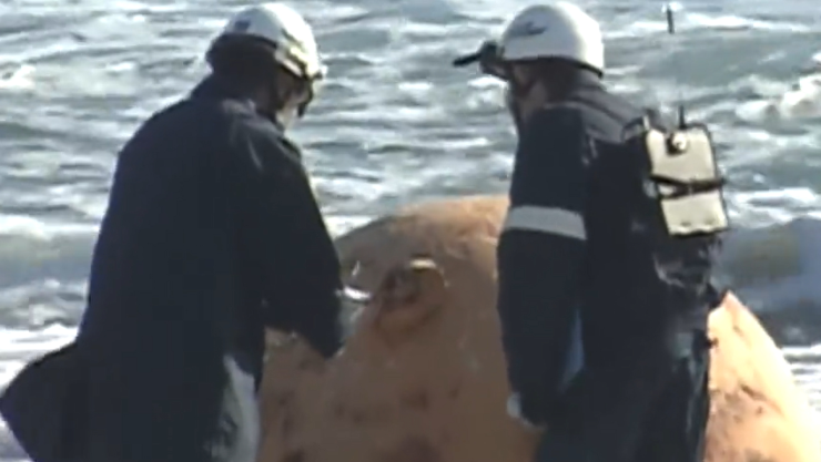 Bola Gigante en Japon