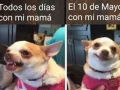 Día de las Madres en México: Los mejores memes