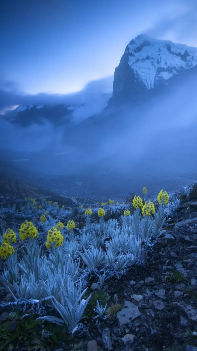 Fue tomada cerca del pico más alto de la cordillera oriental de los Andes colombianos