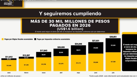 2026-Empresas de Ricardo Salinas pagan.jpg