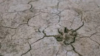sequía.jpg