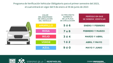 Calendario de la verificación vehicula
