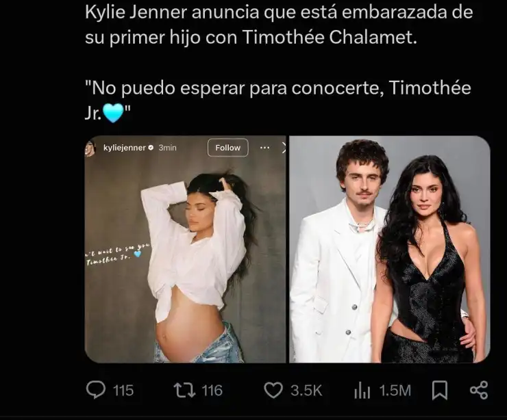 ¿Bebé entre Kylie Jenner y Timothée Chalamet Esto es lo que se sabe al respeto.jpeg