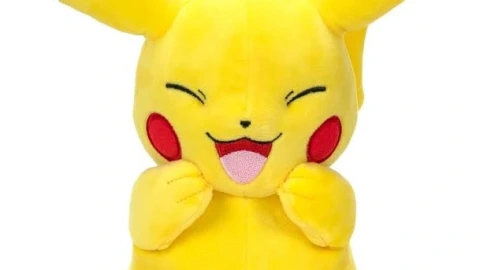 Pokémon PKW2587-20cm Plush - eBay.jpg