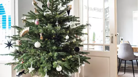 arbol navideño comprado en linea