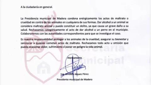 Comunicado-de-presidencia-municipal-Ciudad-Madera-Chihuahua-sobre-perrita-emborrachada