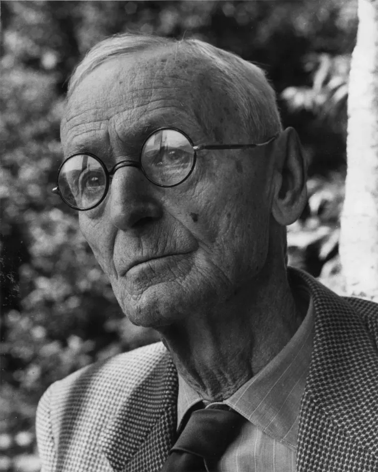 Frases de Hermann Hesse