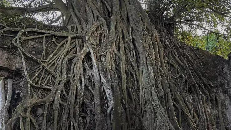 Casa de Hernan Cortes en La Antigua.