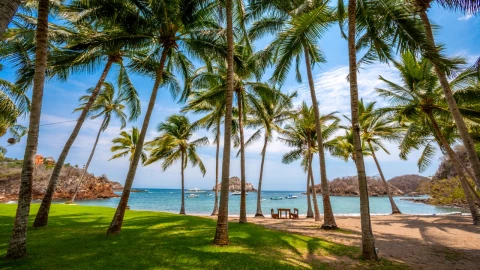 Así se ve la hermosa playa de México que le encantó a Quentin Tarantino y sale en Kill Bill 2