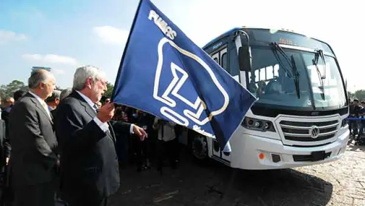 GRAUE PUMABUS