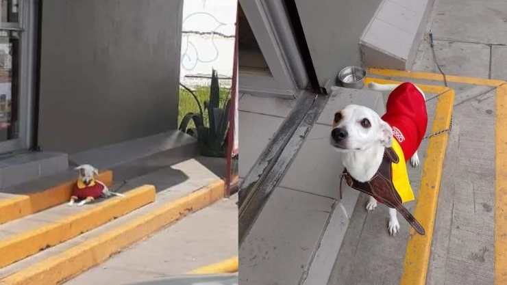 Guardia de seguridad del oxxo.