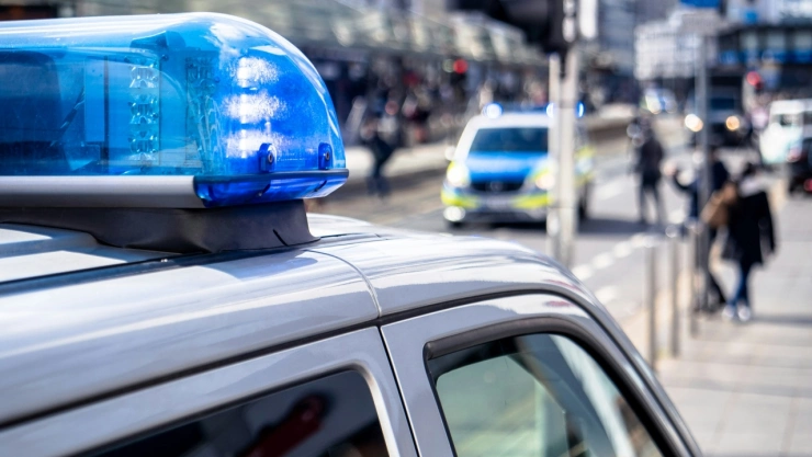 robo-pinturas-dinamarca