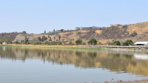 Nivel de presas hoy en Jalisco 17 diciembre 2025.jpg