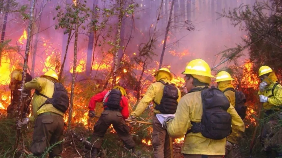 incendios forestales_semarnat.jpg