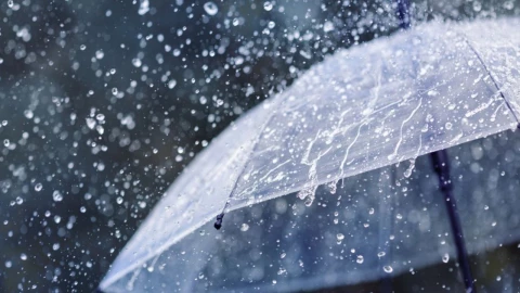 Clima de Veracruz 23 de agosto