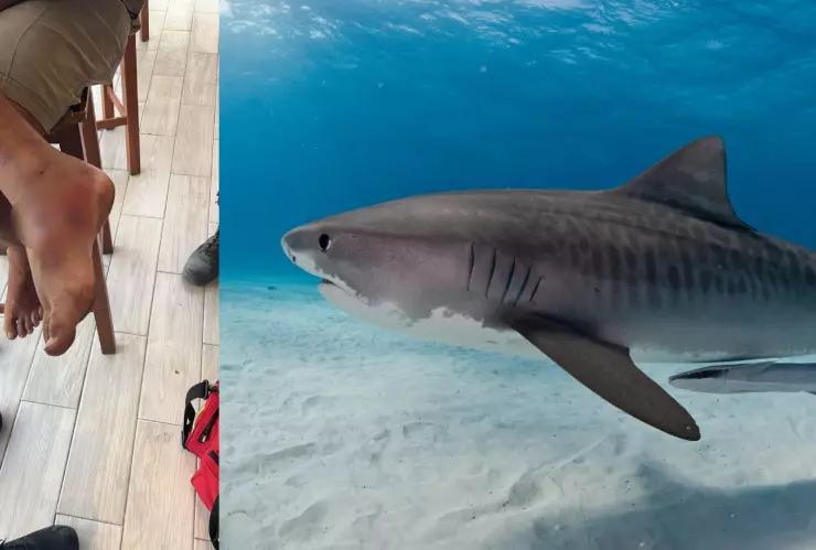 Descartan ataque de tiburón a extranjero en Playa del Carmen; ya tenía las heridas.jpg