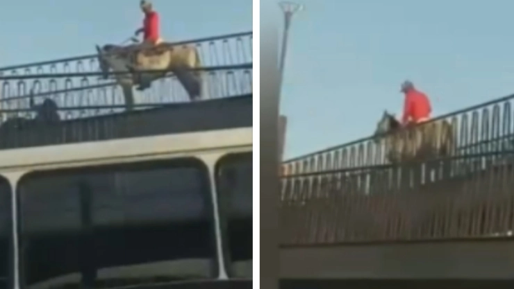 Jalisco caballo jinete puente peatonal