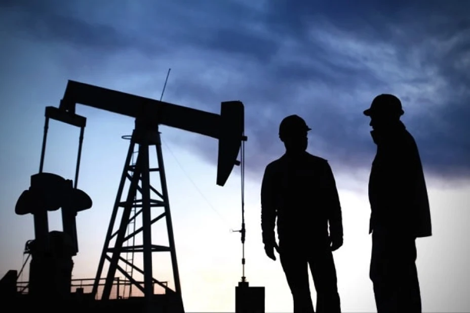 Los estudiantes de Ingeniería Petrolera representan el 11.2% de los 11,746 alumnos de la Facultad de Ingeniería, según las cifras del Portal de Estadísticas de la Universidad Nacional.