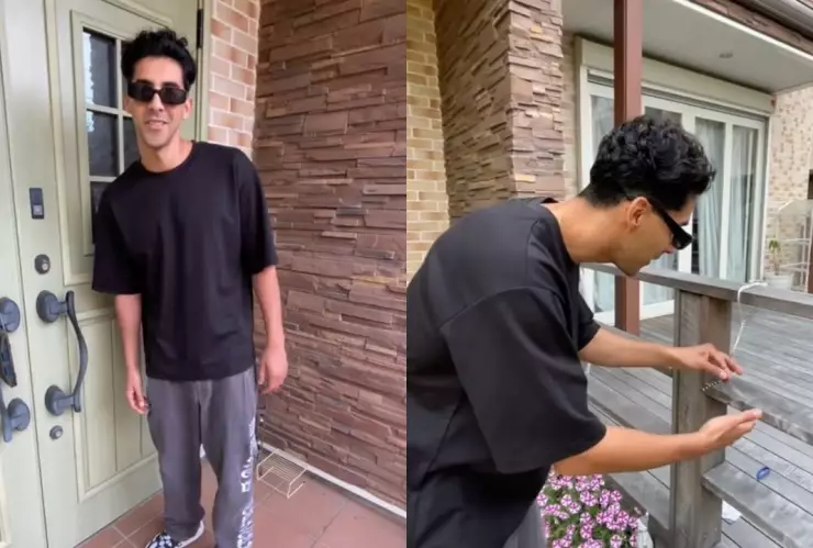 Así puedes deshacerte de los mosquitos en tu casa con esta técnica japonesa