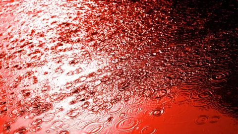 ¿Qué es la lluvia de sangre?