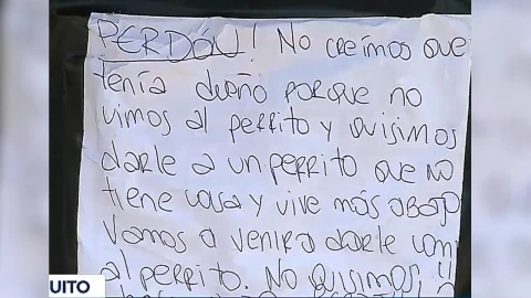 Carta a perrito