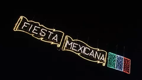 Fiesta mexicana