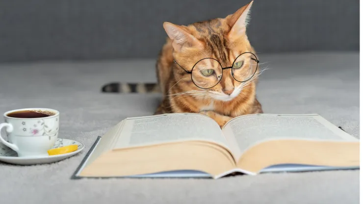 leer libros