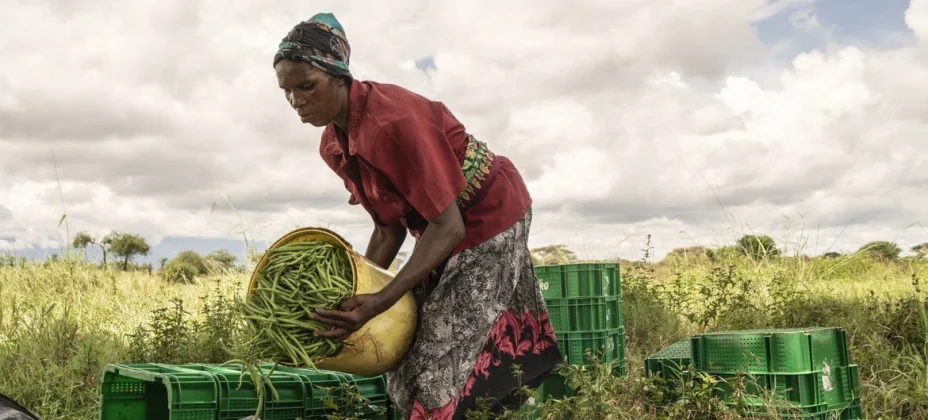 Campesina ONU.jpg