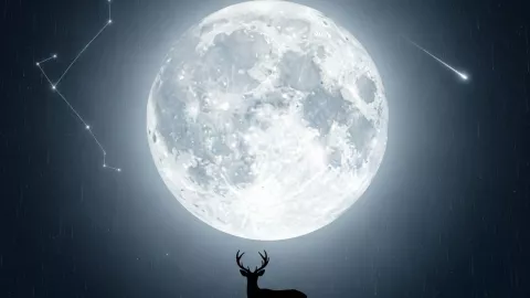 Julio estrellado: superluna, lluvia de meteoros y planetas visibles te esperan