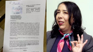 Diputada Hilda Araceli Brown Figueredo