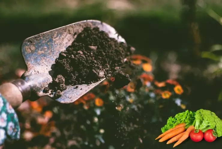 La tendencia que se impone y permite el acceso a alimentos frescos fácilmente.jpg