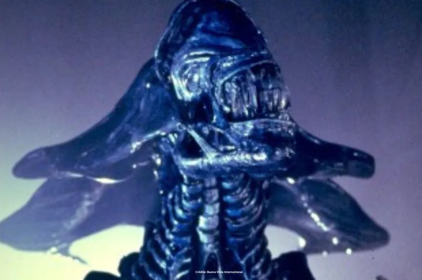 Te contamos lo que hay detrás del supuesto idioma alienígena que habla Mafe Walker.