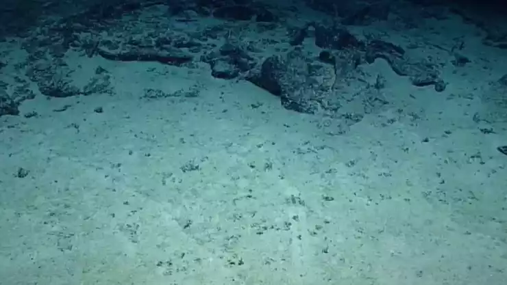 NOAA pide ayuda para descifrar agujeros en fondo del océano