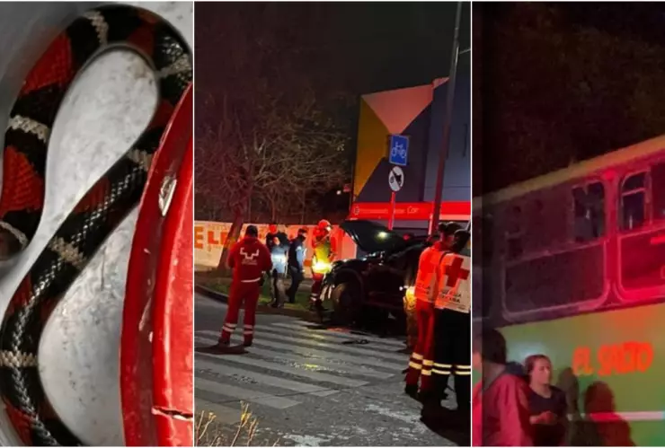 ZMG DE NOCHE vibora accidentes persecución choque.jpg