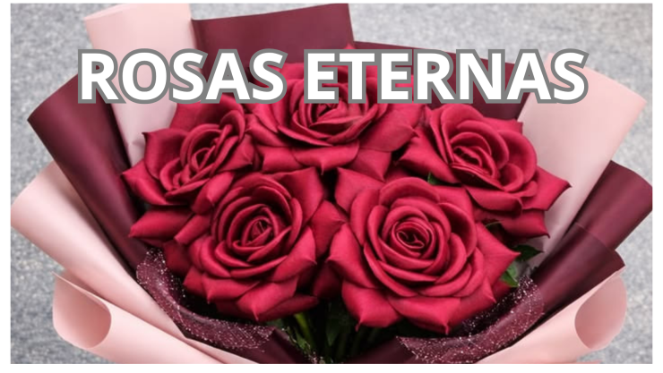 Rosas eternas