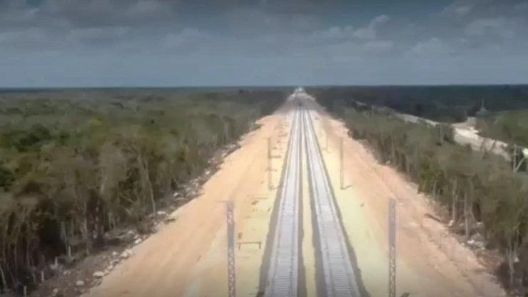 Sin hábitat y en PELIGRO miles de animales por construcción del Tren Maya