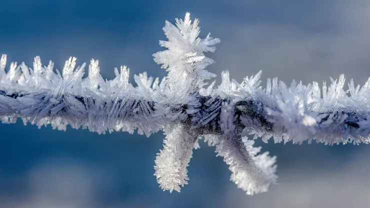Clima en Aguascalientes: Se prevé un invierno más frío este 2024; así afectará al estado