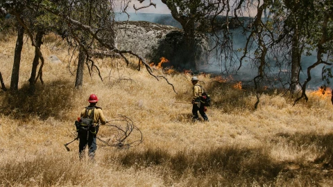 Brigadistas combaten un incendio forestal.jpg