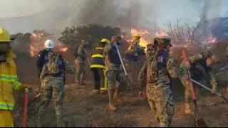 Al momento hay 1,645 personas evacuadas y 3 refugios activos. La mayor afectación se reporta en Ensenada (5,000 hectáreas) y Tecate (1,250 hectáreas).