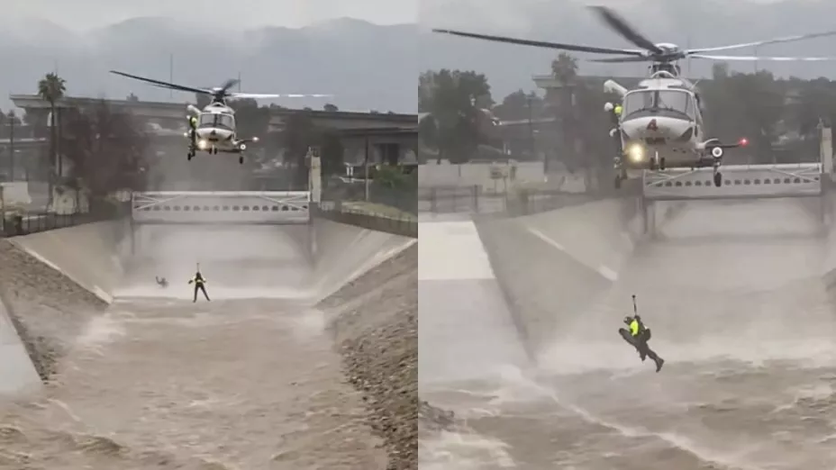 Tormenta en California Perro