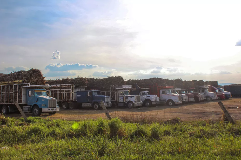 Sader 13 de junio de 2024.jpeg