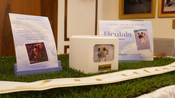 Firulais
