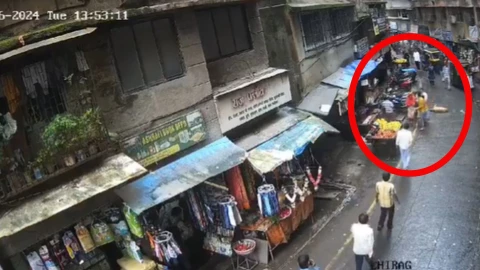 Niña de 3 años muere aplastada por perro lanzado desde un edificio en la India.