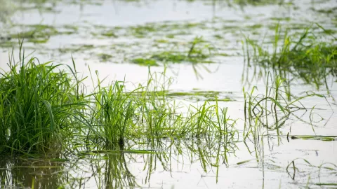 Encuentran cuerpo de una mujer en una maleta