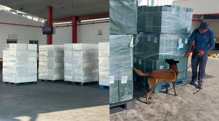 Aseguran 20 toneladas de cigarros en el AICM provenientes de Japón; “huachicol tabaco”