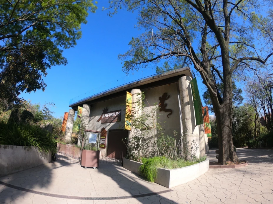 Sedema 27 de diciembre.jpg