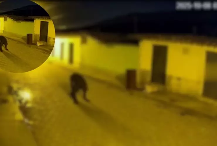 ¿Real o montaje? VIDEO muestra la impactante transformación de un hombre en nahual