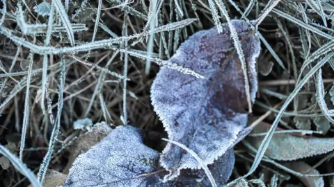 Continuarán las bajas temperaturas en Puebla: ¿Cuándo ingresará el Frente Frío 34 a Puebla?