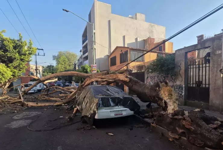 ¡Explosiones, árboles caídos y más DAÑOS que dejó el fuerte sismo en Guanajuato y TODO MÉXICO hoy viernes 2 de enero! (IMÁGENES) .jpg